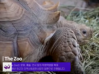 제 5탄 대경대학교 The ZOO