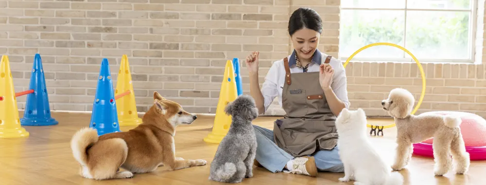 반려동물라이프과 실습 현장