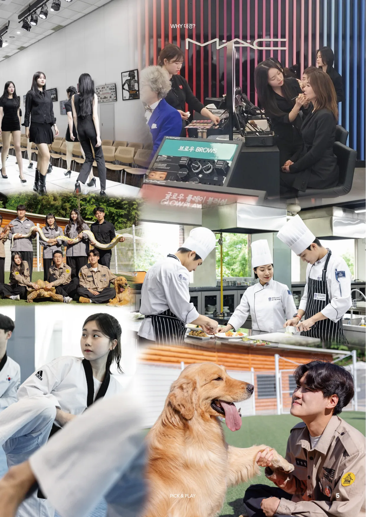 2027학년도 신입생 모집요강 5페이지